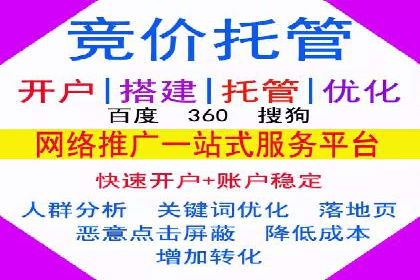 SEM代理助力品牌：案例解析与优化策略